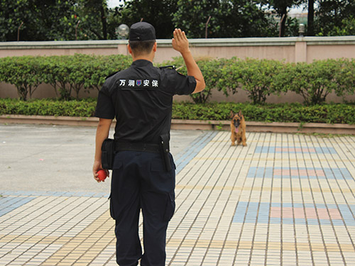 鳳崗保安公司